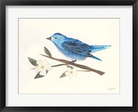 Birds and Blossoms II Framed Print
