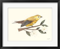 Birds and Blossoms I Framed Print