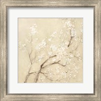 Framed 'White Cherry Blossoms II Linen Crop' border=