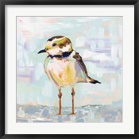 Framed Coastal Plover II Neutral