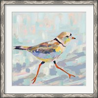 Framed Coastal Plover I Neutral