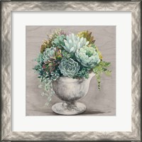 Framed Festive Succulents I Gray