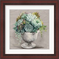 Framed 'Festive Succulents I Gray' border=