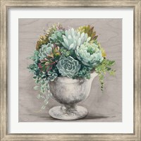 Framed Festive Succulents I Gray