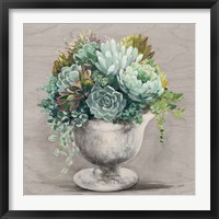 Framed 'Festive Succulents I Gray' border=