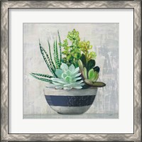 Framed 'Succulent Still Life II Navy' border=