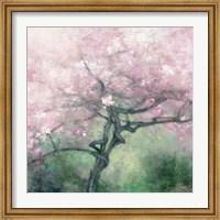 Framed Blooming Apple Tree