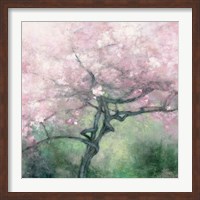 Framed Blooming Apple Tree