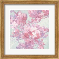 Framed Spring Magnolia I