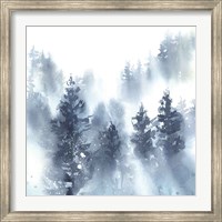 Framed Misty Forest II