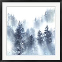 Framed Misty Forest II