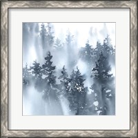 Framed 'Misty Forest I' border=