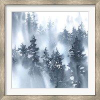 Framed Misty Forest I