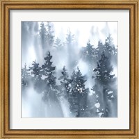 Framed Misty Forest I