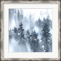 Framed Misty Forest I