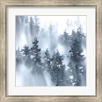 Framed Misty Forest I