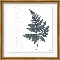 Framed Nordic Fern II