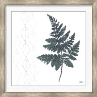 Framed Nordic Fern II