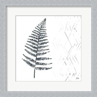 Framed Nordic Fern I