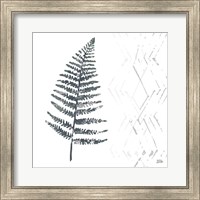 Framed Nordic Fern I