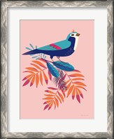 Framed Exotic Birds III