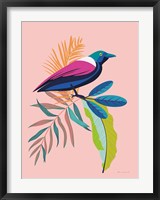 Framed Exotic Birds I