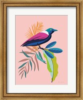Framed Exotic Birds I