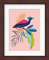 Framed Exotic Birds I