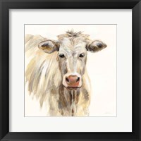 Framed White Cow