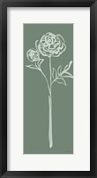 Floral Line I Green Framed Print