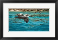 Framed Pelicans