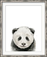 Framed Baby Panda