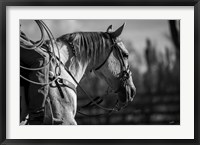 Framed Gray Day