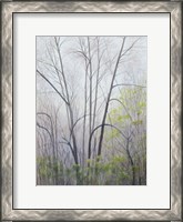 Framed Early Spring