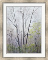 Framed Early Spring