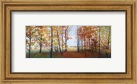 Framed Autumn Walk