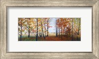 Framed Autumn Walk