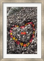 Framed Love in the Leaves