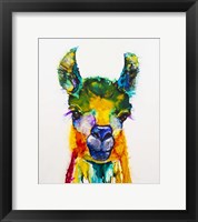 Framed Llama-rama