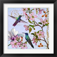 Framed Hummingbird Botanical