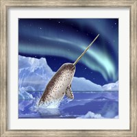Framed Narwhal and Northern Lights