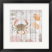 Framed 'Crabs on Driftwood Panel' border=