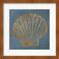 Framed Great Scallop Gold on Blue