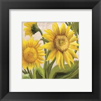 Framed 'Sunflower Surprise 2' border=