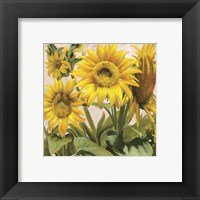 Framed 'Sunflower Surprise 3' border=
