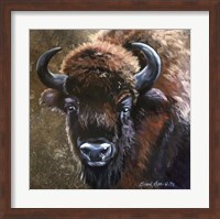 Framed Buffalo Bob