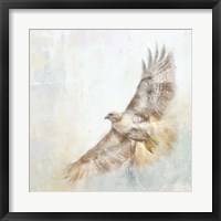 Framed Angel Hawk