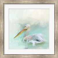 Framed White Pelican