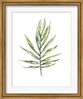 Framed Areca palm leaf