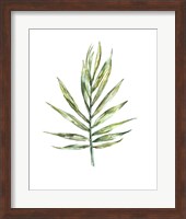 Framed Areca palm leaf